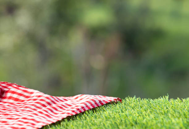 istock Red checkered napkin on the green grass. Background for design 1153742506
