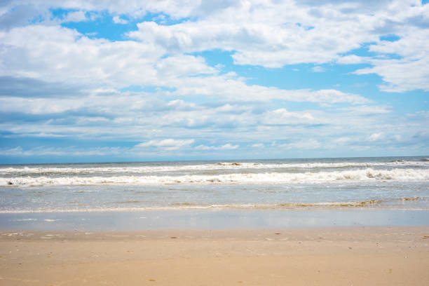 Seeing wild horses out on the beach with the waves of the ocean behind it. The sand dunes for them to run through and the beach for them to get wet in.