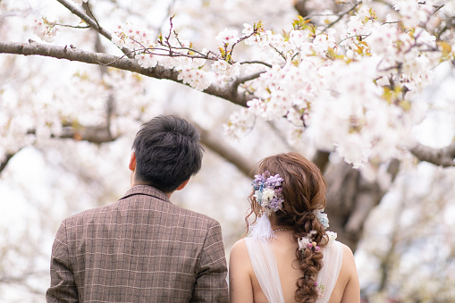 Bride and groom looking at cherry blossoms
