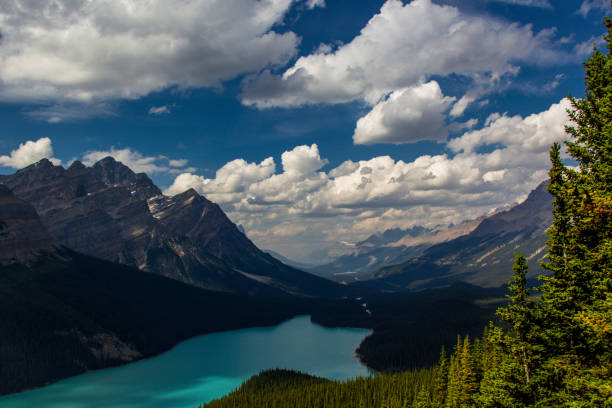 istock Peyto Lake 1153751527