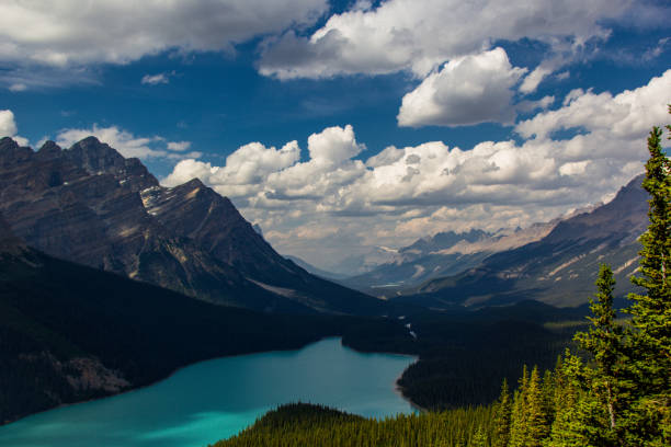 istock Peyto Lake 1153751530