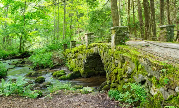 Photo of Panorama of a Moss Covred Antique Stone Bridge, Great Smokies Mountain National Park
