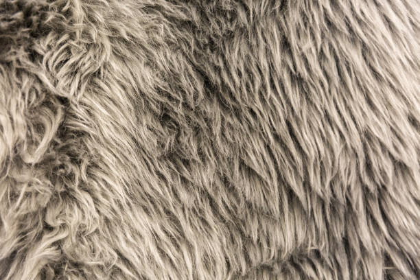 istock Tiled sheepskin wool, macro close up 1153765111