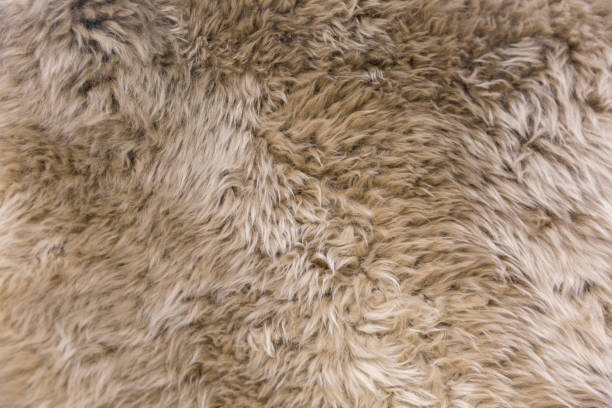 istock Tiled sheepskin wool, macro close up 1153765146