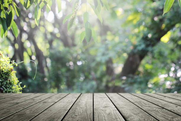 istock Wooden empty and blurred fresh green nature garden background. 1153766930
