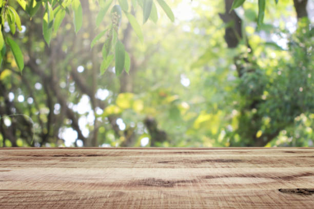 istock Wooden empty and blurred fresh green nature garden background. 1153769605