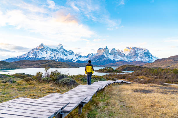 istock Torres del Paine National Park, Chile. (Torres del Paine National Park) 1153769692