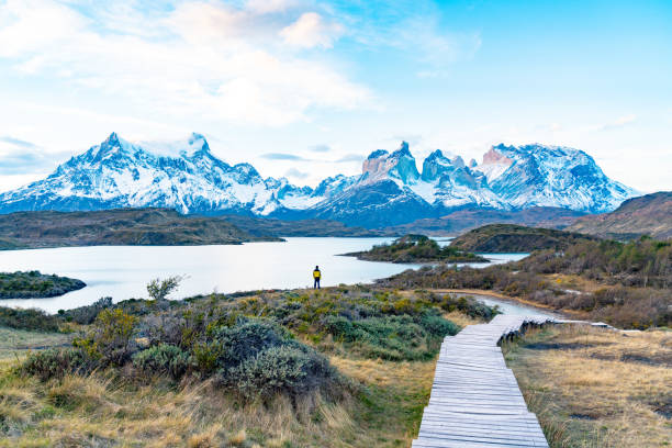 istock Torres del Paine National Park, Chile. (Torres del Paine National Park) 1153769723