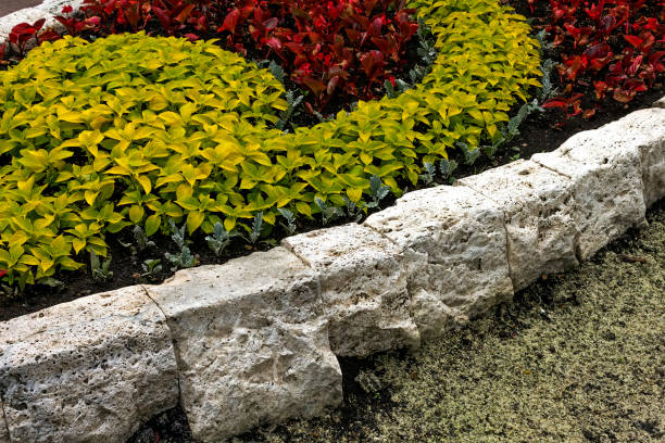 istock Beautiful flowerbed in resort Pyatigorsk 1153769848