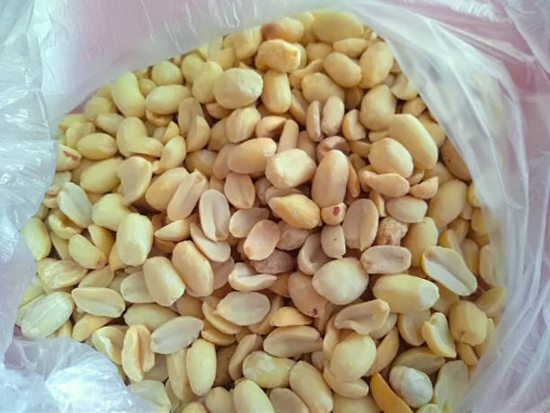 istock Lots of peeled and fried peanuts in a bag 1153770878