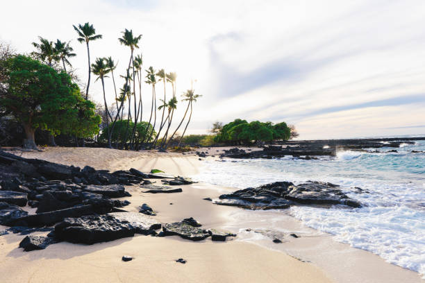 istock Rocky Mahaiula beach with palm trees Big Island Hawaii 1153771623