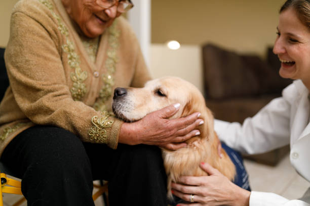 donna anziana e badante con cane da terapia a casa - animal recovery illness pets foto e immagini stock
