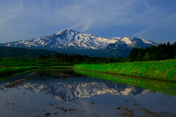 istock Mt. Chokai and the field 1153777888