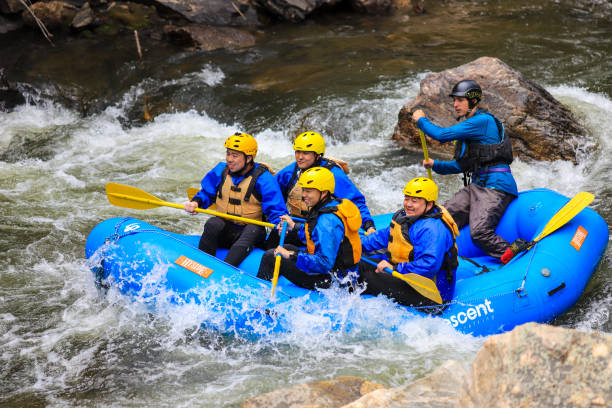 rafting en aguas bravas con un outfitter guiado colorado - rafting white water rafting colorado water fotografías e imágenes de stock