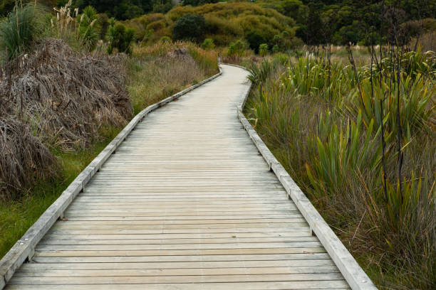 istock The footpath forward,Auckland,New Zealand 1153782014