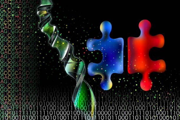 cromossoma-como o fundo vermelho e azul do enigma de quebra-cabeça há hélice de dna e código de rna e código binário. imagem geneticamente modificada - binary code puzzle coding technology - fotografias e filmes do acervo