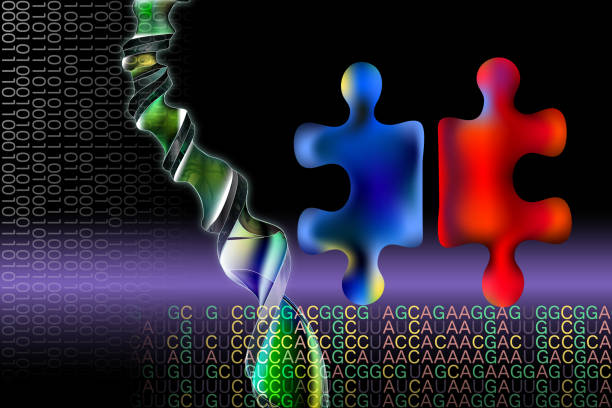 染色体のような赤と青のジグソーパズルの背景 dna ヘリックスと rna コードとバイナリコードがあります。遺伝的に改変された画像 - binary code puzzle coding technology ストックフォトと画像