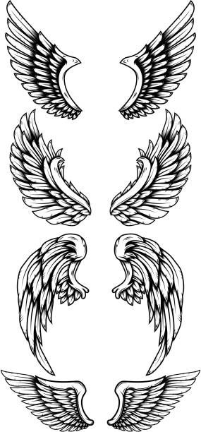 набор орлиных крыльев в стиле татуировки. элемент дизайна для этикетки, знака, плаката, карты, футболки. иллюстрация вектора - artificial wing wing eagle bird stock illustrations