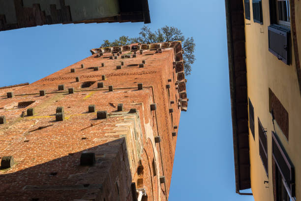 istock Guinigi tower in Lucca, Tuscany, Italy 1153797024