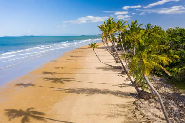 Photo of Aerial top view of beach with white sand, beautiful palm trees and warm turquoise tropical water