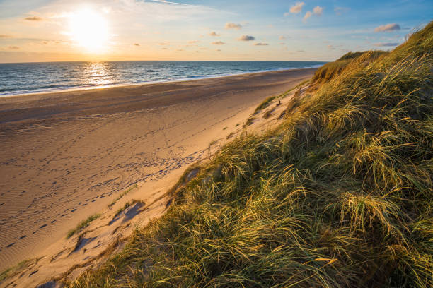 istock North sea beach, Jutland coast in Denmark 1153797217