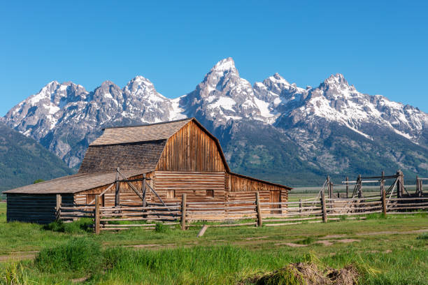 moulton barn à parc national de grand teton, wyoming, états-unis - wyoming landscape american culture plain photos et images de collection