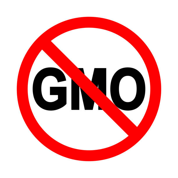 istock No GMO Sign. Vector illustration of a collection of prohibition signs 1153801010