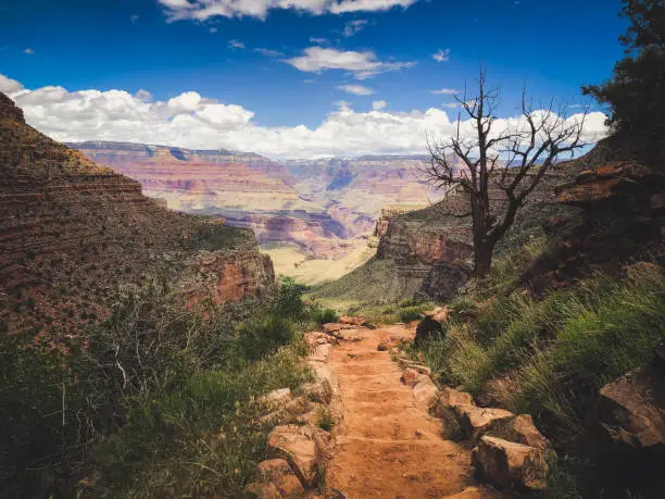 Photo of The Bright Angel Trail to the Grand Canyon