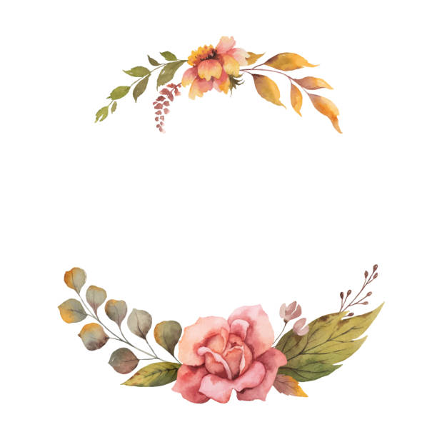 장미와 흰색 배경에 고립 된 나뭇잎 수채화 벡터가을 화 환. - season spring rose branch stock illustrations