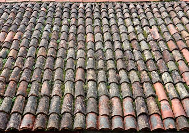 istock Old weathered tile roof with moss,lichens and weeds on its surface 1153803771