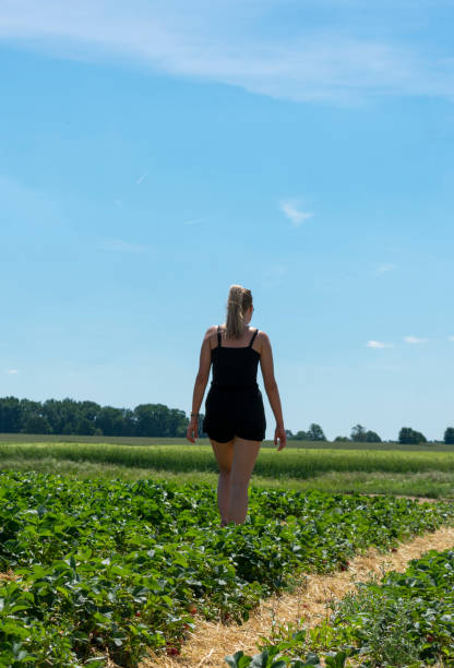istock Young woman is running through a strawberry field. 1153805273