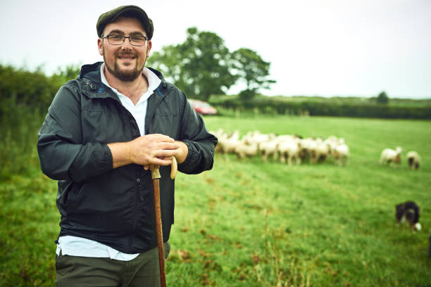 istock The sheep are out and about 1153808542