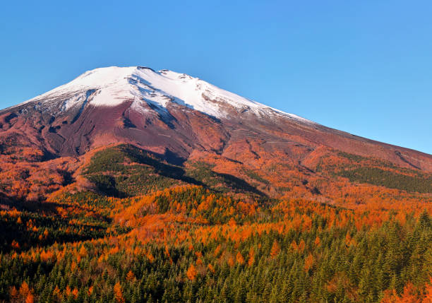 istock Mt. Fuji in the fall season 1153809177