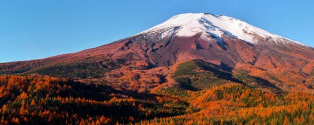 istock Mt. Fuji in the fall season 1153809192