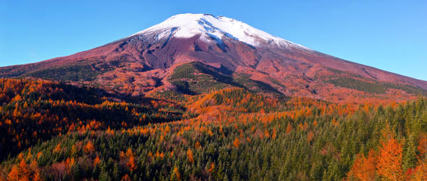 istock Mt. Fuji in the fall season 1153809207