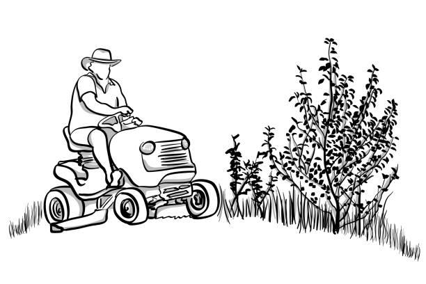 Fancy Lawnmore Happy man on his fancy riding mower lawn mower clip art stock illustrations