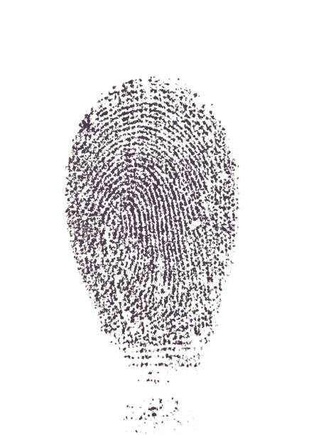 istock Close-Up Of Fingerprint Against White Background 1153820637