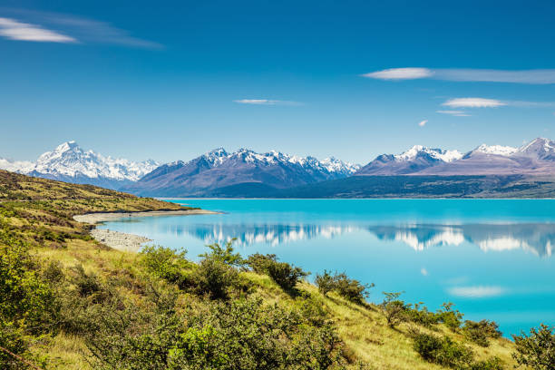 Lake Pukaki Mount Cook Glacier Turquoise Lake New Zealand Beautiful turquoise Lake Pukaki and snow capped Mount Cook Glacier Mountain Range in summer reflecting in the turquoise calm lake water. South Island, Canterbury, Mackenzie Basin, Mount Cook, Lake Pukaki, New Zealand mt cook photos stock pictures, royalty-free photos & images