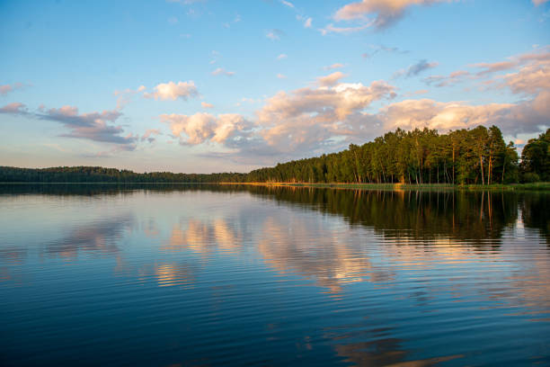 istock beautiful evening by the lake with sun in the trees 1153822270