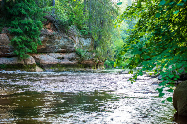 istock beautiful forest river in latvia in summer 1153822670