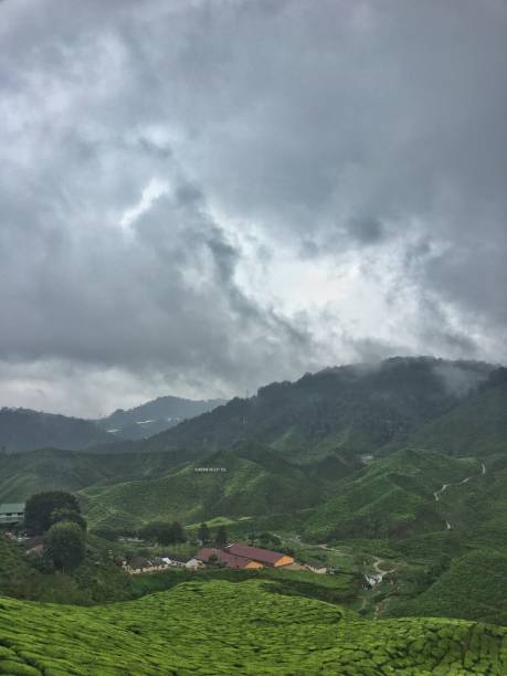 istock Cameron Highland tea plantation 1153824662