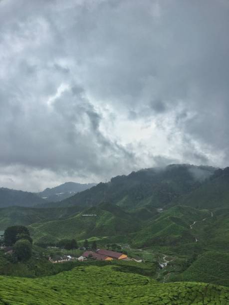 istock Cameron Highland tea plantation 1153824679