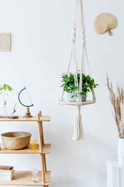 istock Stylish and minimalistic boho interior with design and handmade macrame shelf planter hanger for indoor plants, wooden furnitures, elegant accessories ,rattan basket and leaf. Cozy home decor. 1153828447