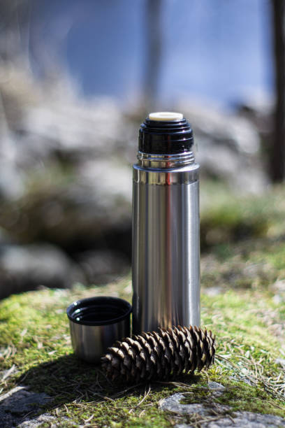 istock Thermos, cup and pinecone- picnic on mossy rock 1153828712