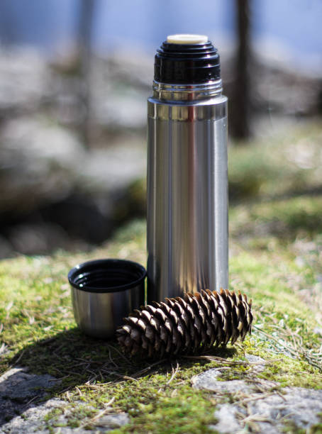 istock Thermos, cup and pinecone- picnic on mossy rock 1153828769