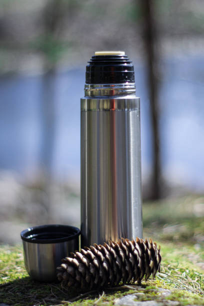 istock Thermos, cup and pinecone- picnic on mossy rock 1153828948
