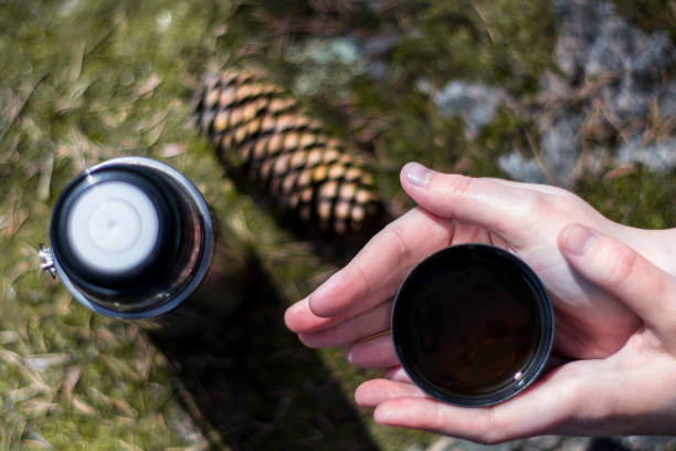 istock Two hands hold cup of hot tea or coffe on mossy rock 1153829023