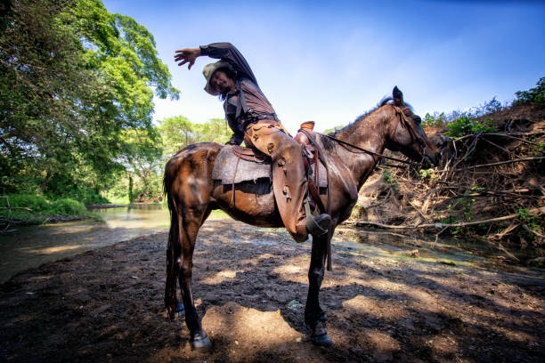 istock Man Riding Horse Against Trees 1153830136