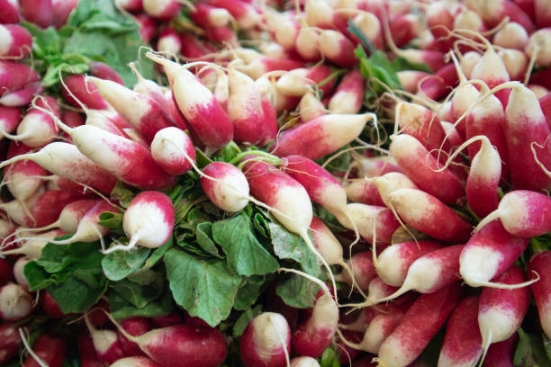 istock Bunches of red radishes. 1153830765