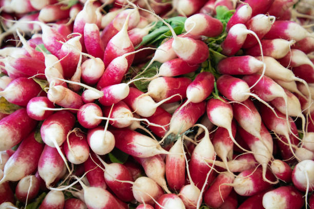 Bunches of red radishes.